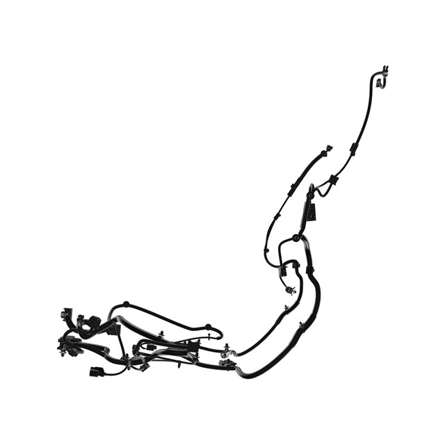 Alternate Image