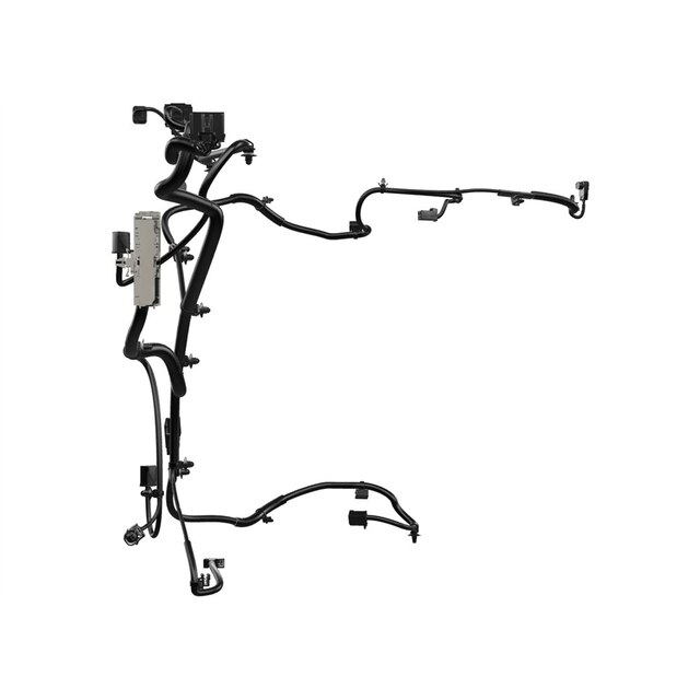 Alternate Image