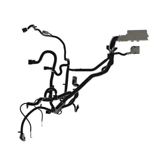 Alternate Image