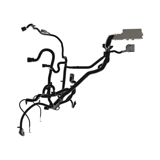 Alternate Image