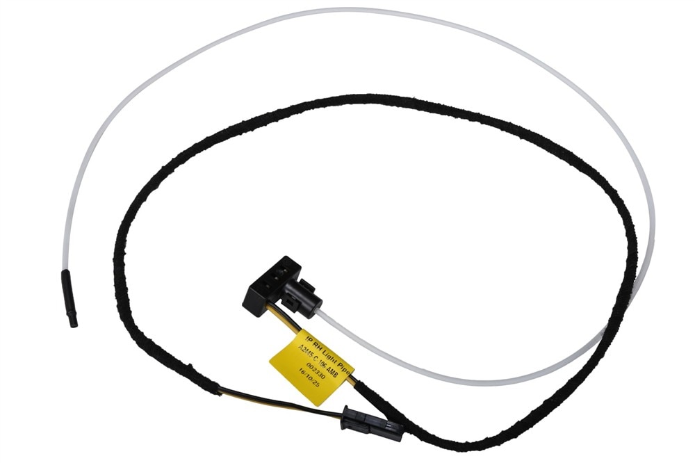 GM Genuine Parts Passenger Side Instrument Panel Lamp