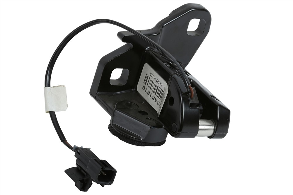 Alternate Image
