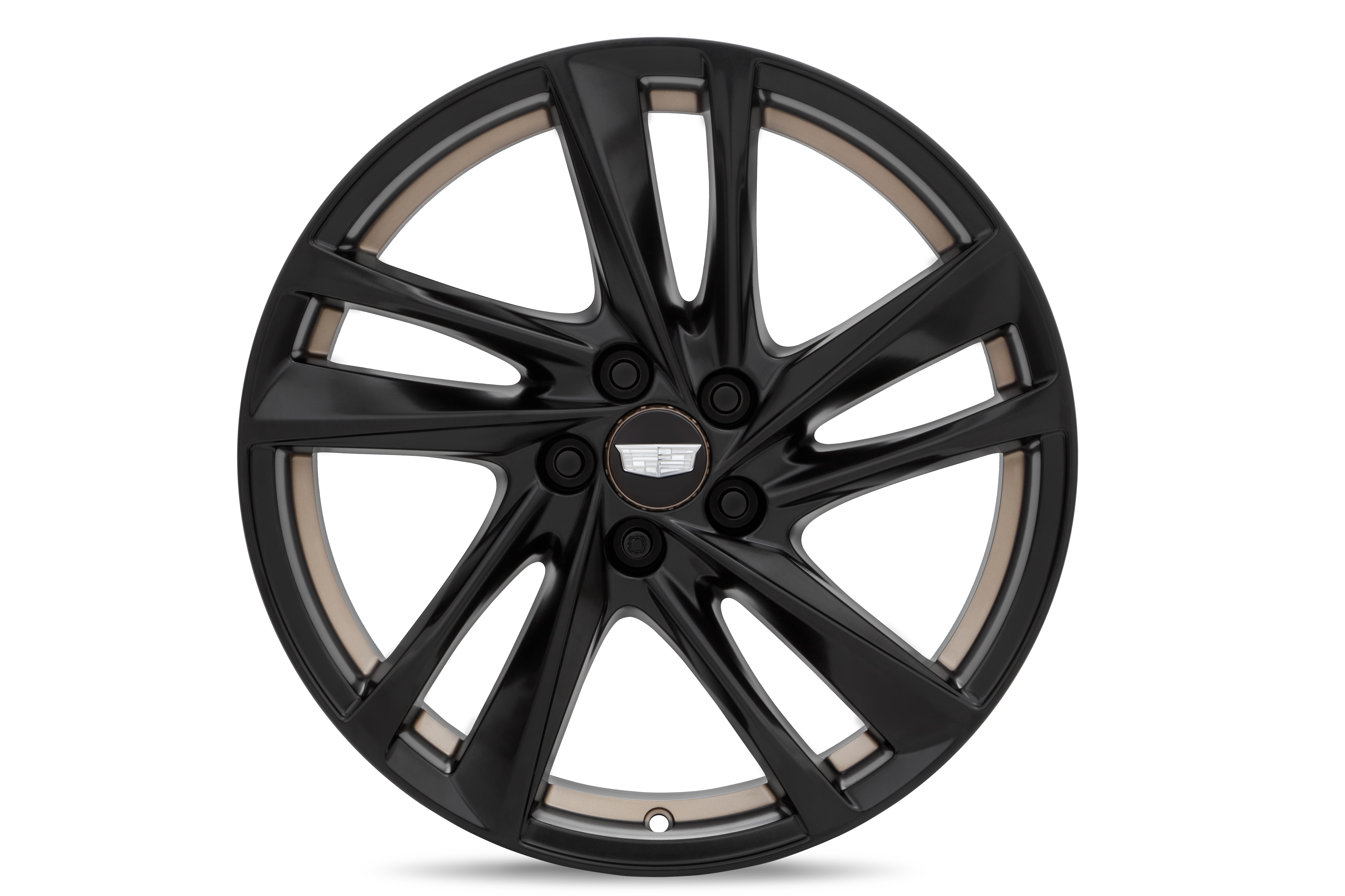 19x8-Inch 5-Split Spoke Wheel in Low Gloss Black with Bronze