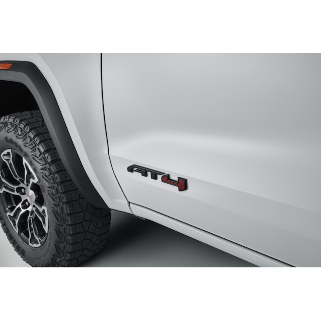 Canyon AT4 Emblems in Black