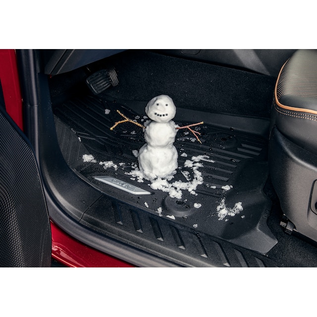 On-Vehicle Image