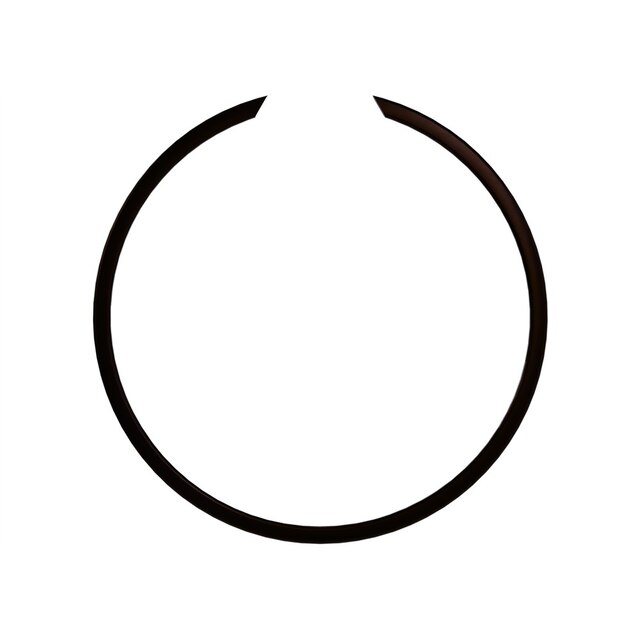 Alternate Image