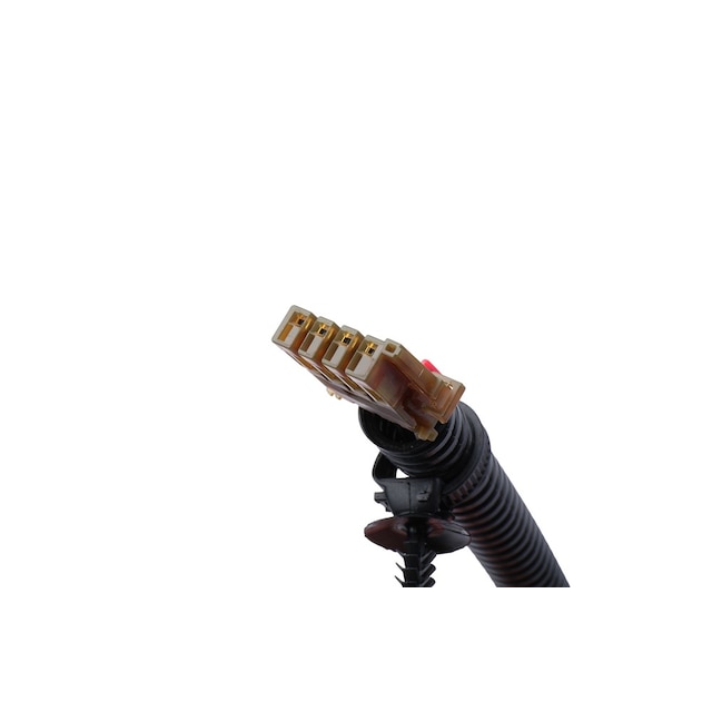 Alternate Image