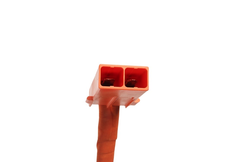 Alternate Image