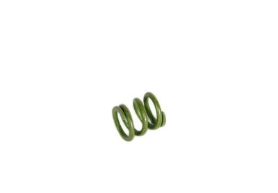 GM Genuine Parts Automatic Transmission 1-2 Green Accumulator Piston Inner Spring