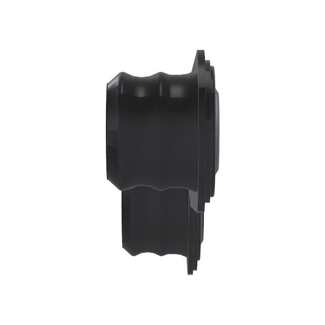 Alternate Image