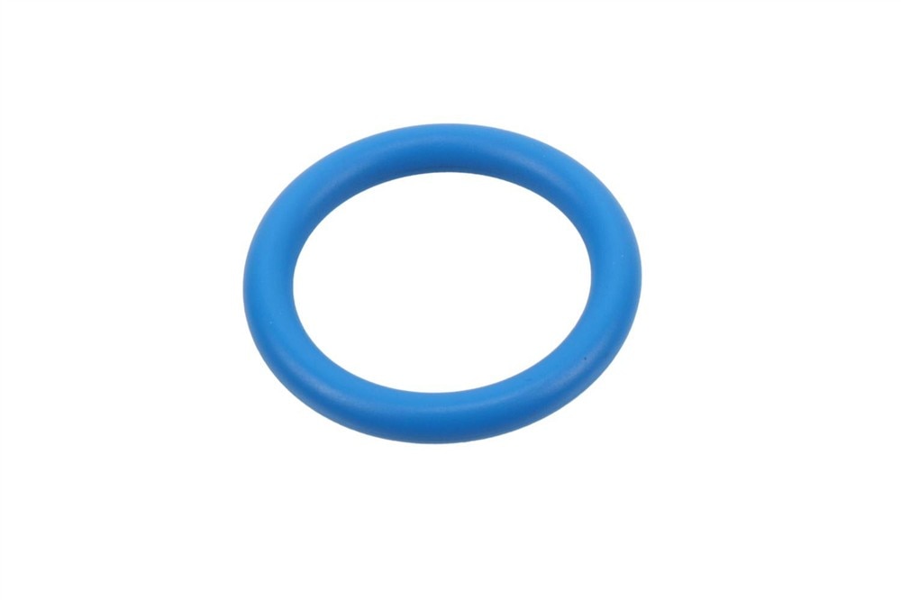 GM Genuine Parts Transmission Fluid Dipstick Seal