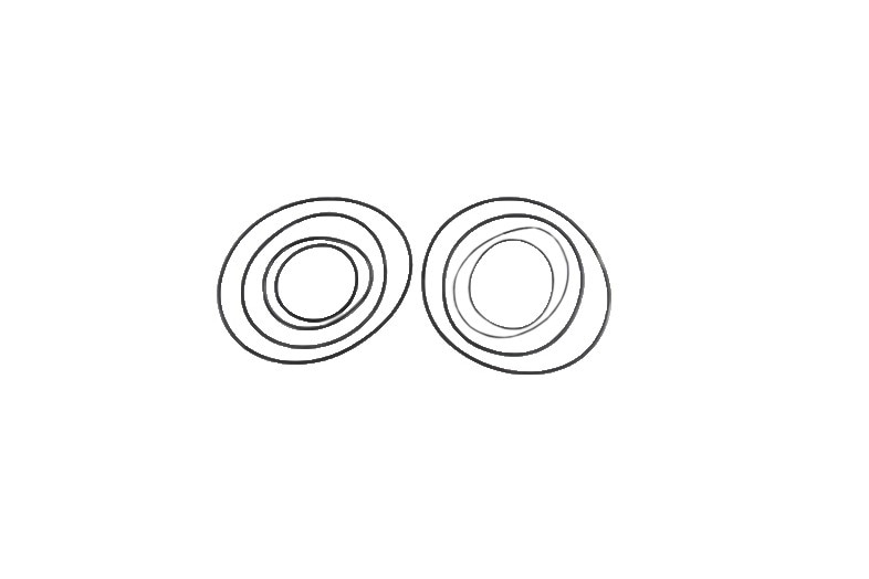 GM Genuine Parts Automatic Transmission Clutch Seal Kit with Piston and Sprag Seals