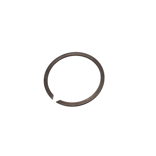 GM Genuine Parts Drive Motor Rotor End Ring