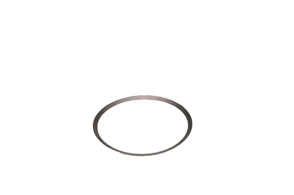 GM Genuine Parts Automatic Transmission Park Gear Spring
