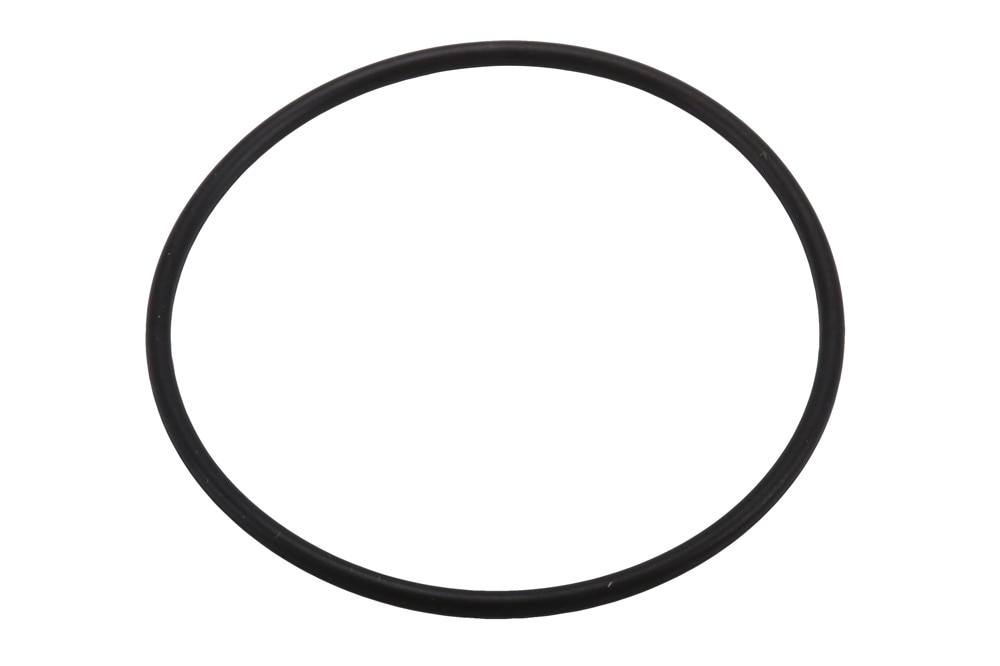 ACDelco GM Original Equipment Park Pawl Actuator Guide Seal