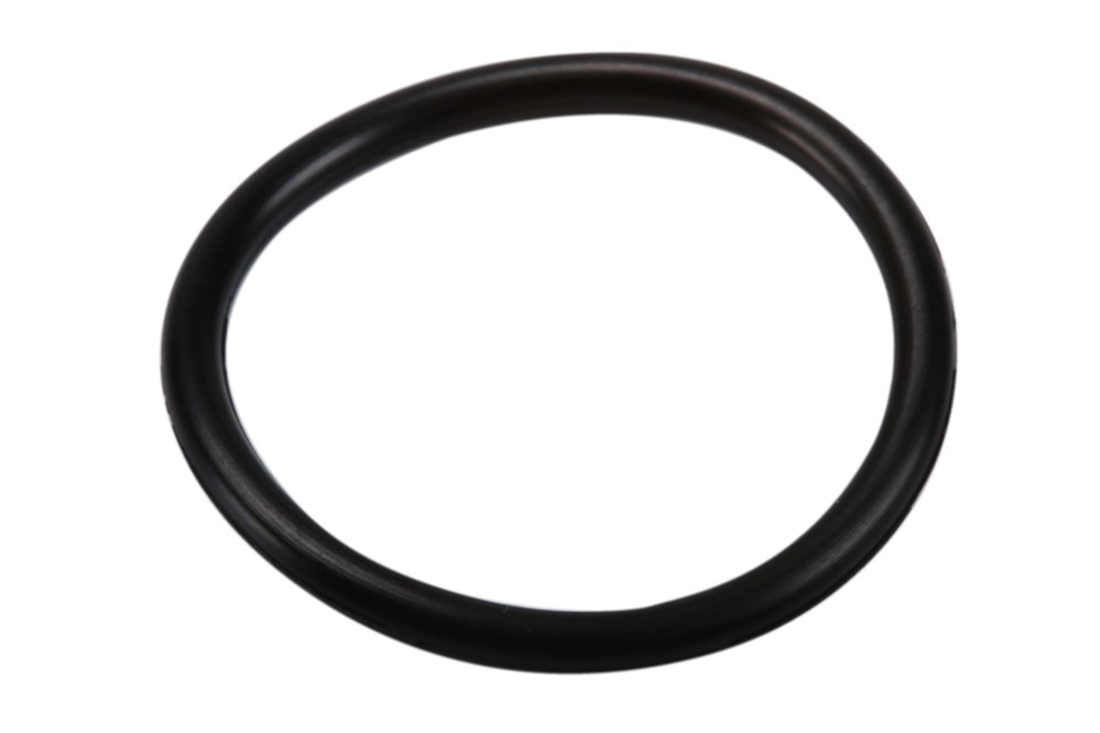GM Genuine Parts Automatic Transmission Fluid Level Control Valve Seal