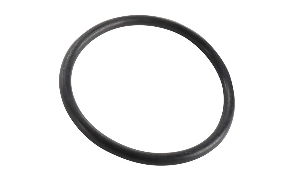 GM Genuine Parts Park Pawl Actuator Guide Seal