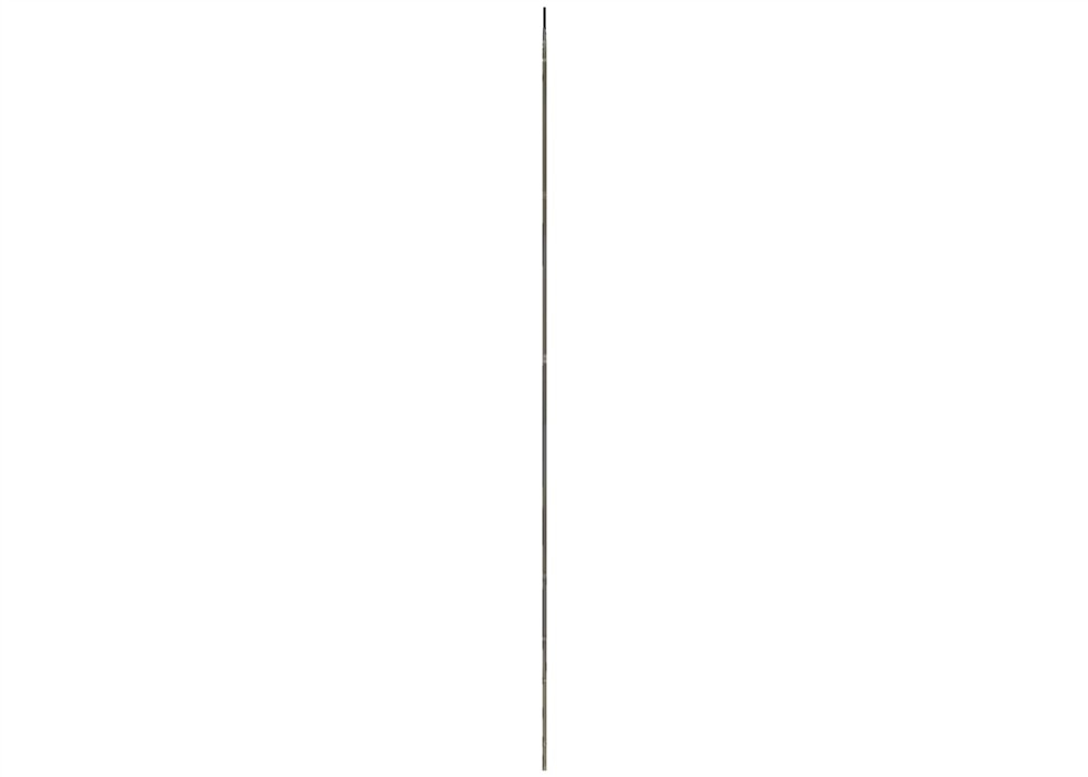 Alternate Image