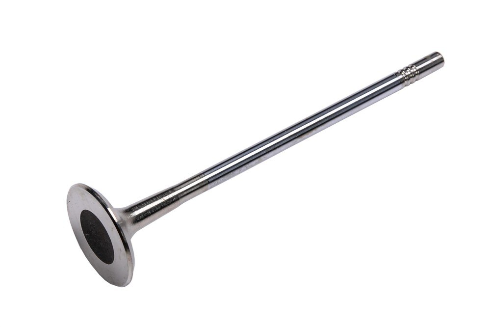 GM Genuine Parts Engine Exhaust Valve