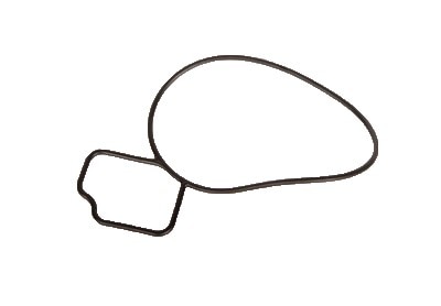 GM Genuine Parts Water Pump O-Ring