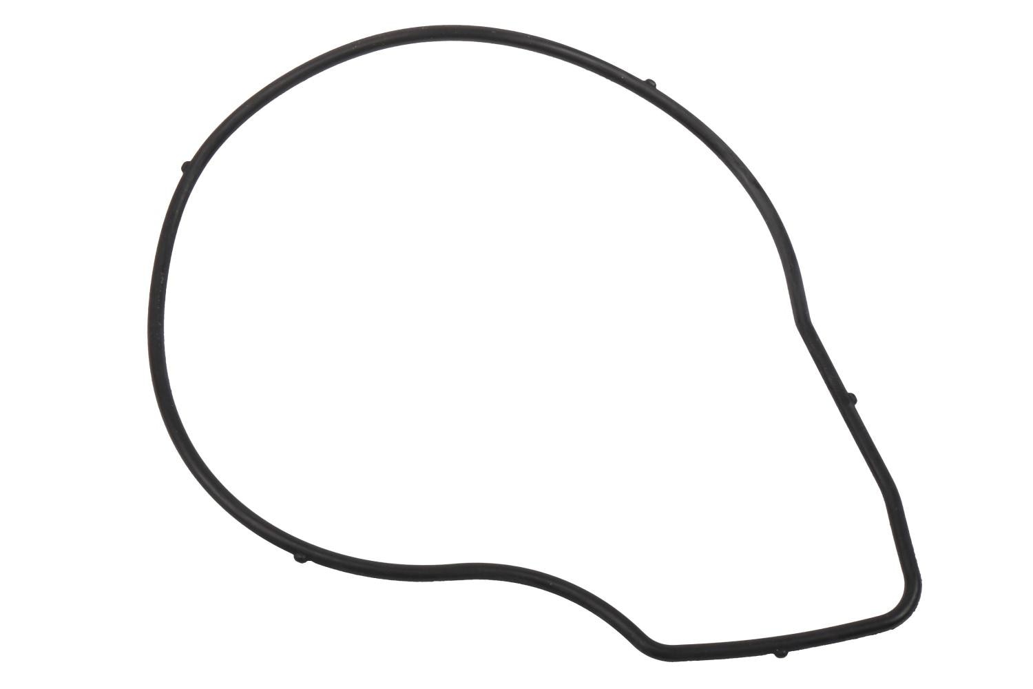 GM Genuine Parts Water Pump Seal