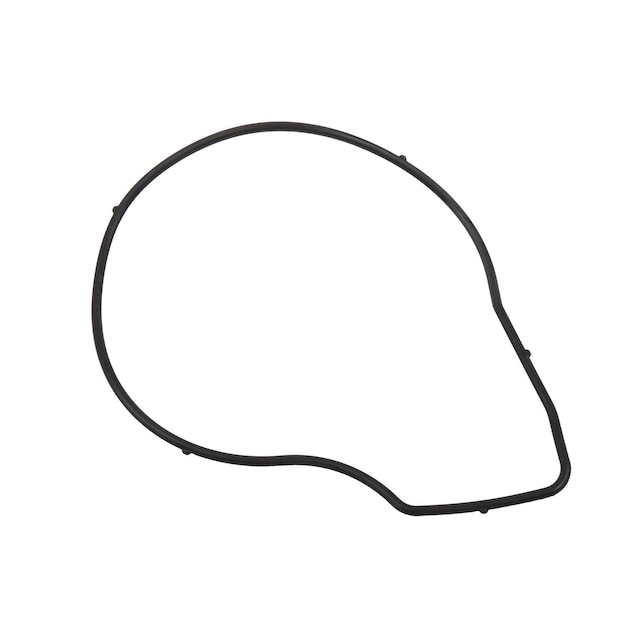 GM Genuine Parts Water Pump Seal