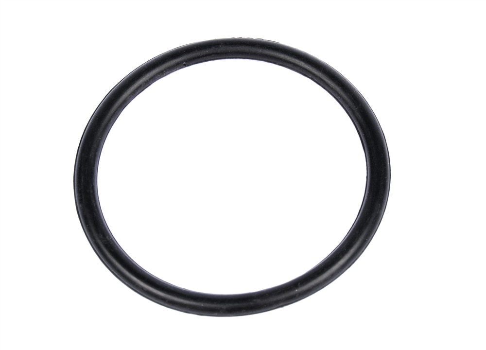 GM Genuine Parts Engine Coolant Thermostat O-Ring