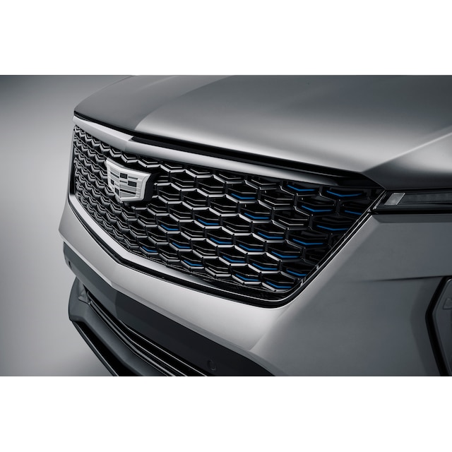 Grille in Gloss Black with Silver Surround and Blue Accents