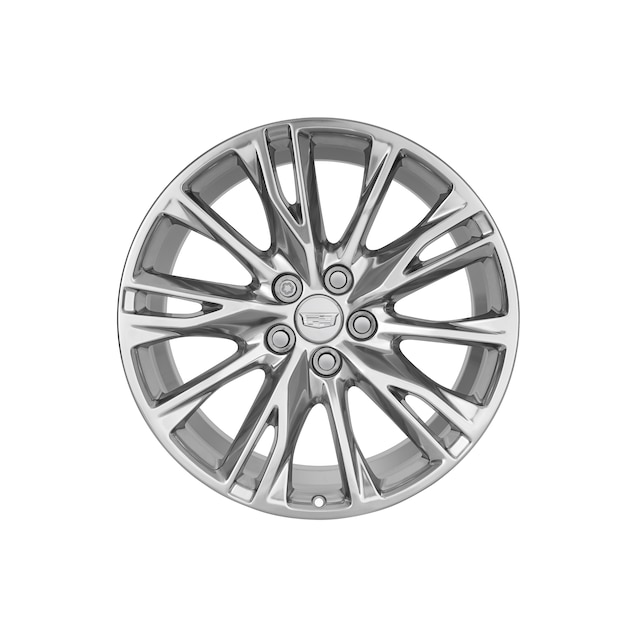 20 x 8.5 Multi-Spoke Aluminum Wheel in Polished Finish