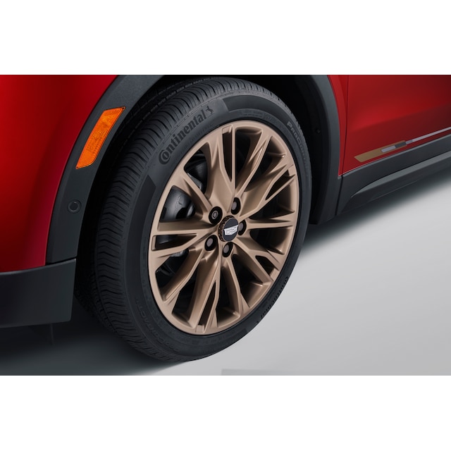 On-Vehicle Image