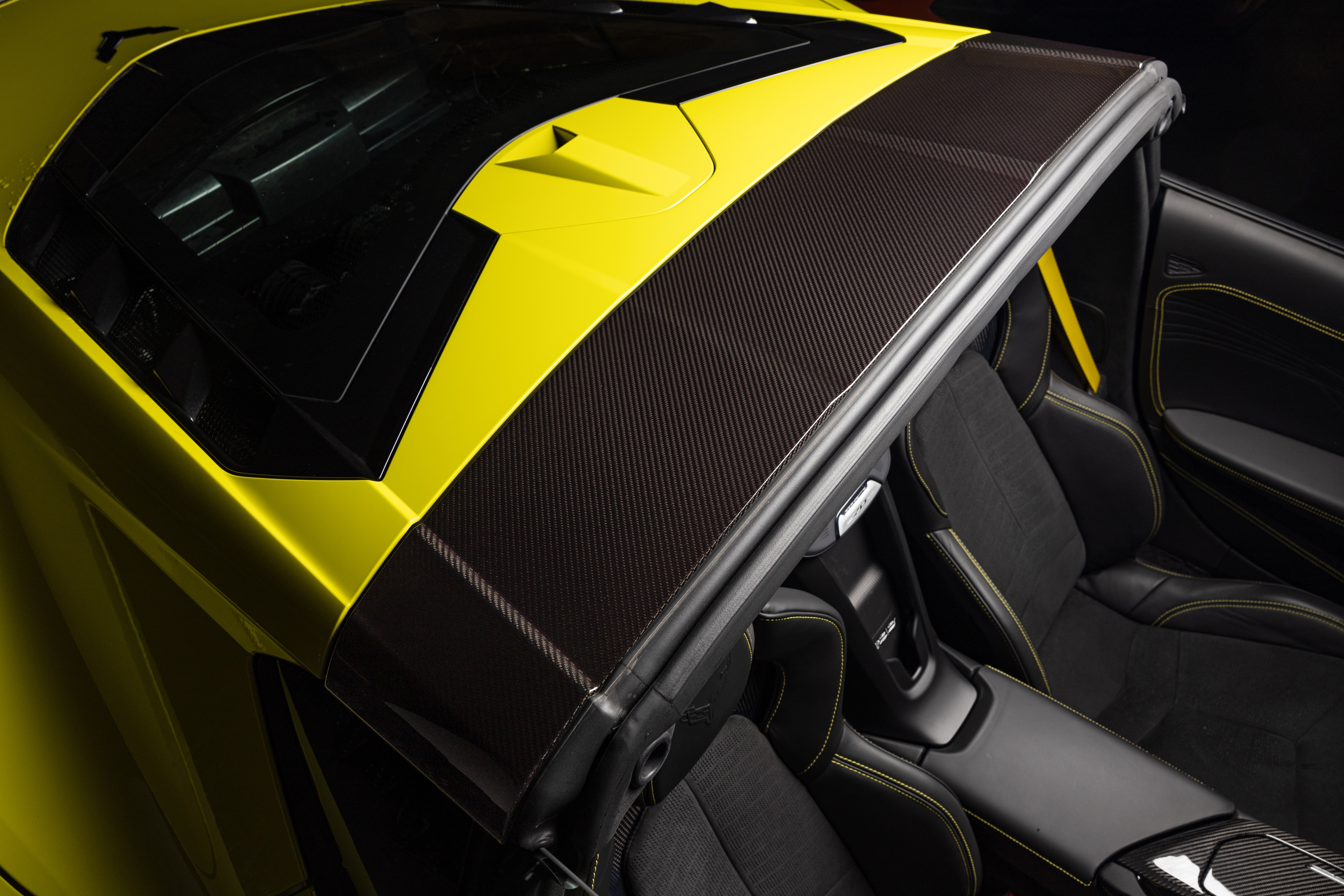 Visible Carbon Fiber Roof Bow