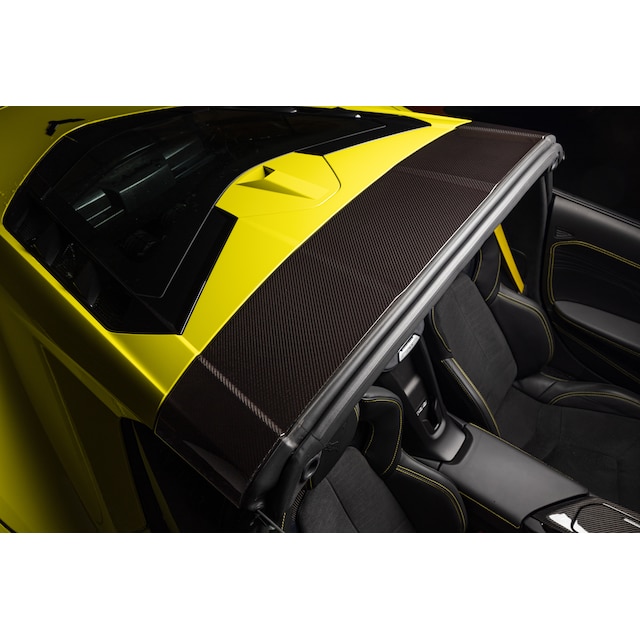 Visible Carbon Fiber Roof Bow