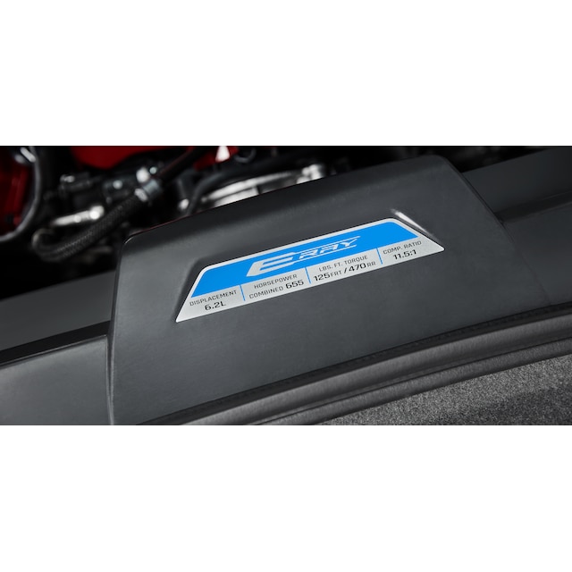 Engine Specification Plaque for E-Ray