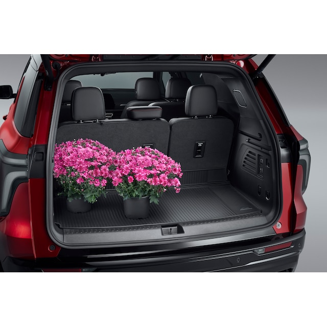 On-Vehicle Image