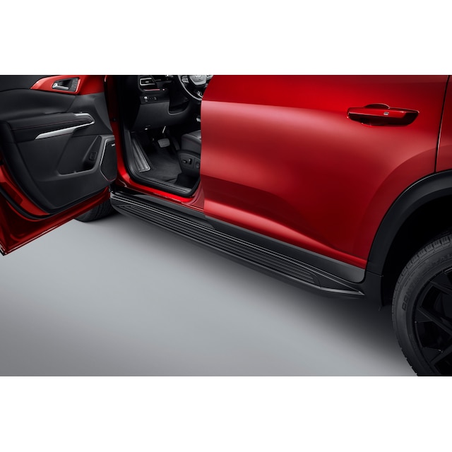 Painted Assist Steps in Black