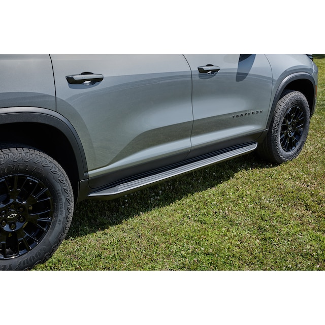 Molded Assist Steps in Black