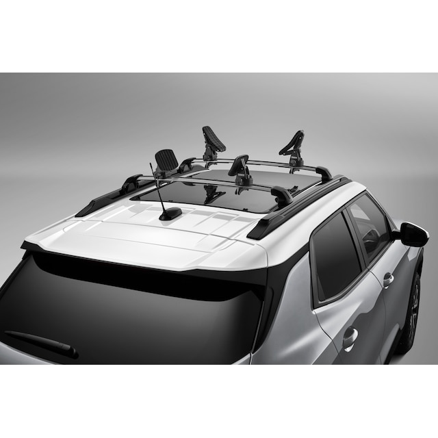 On-Vehicle Image