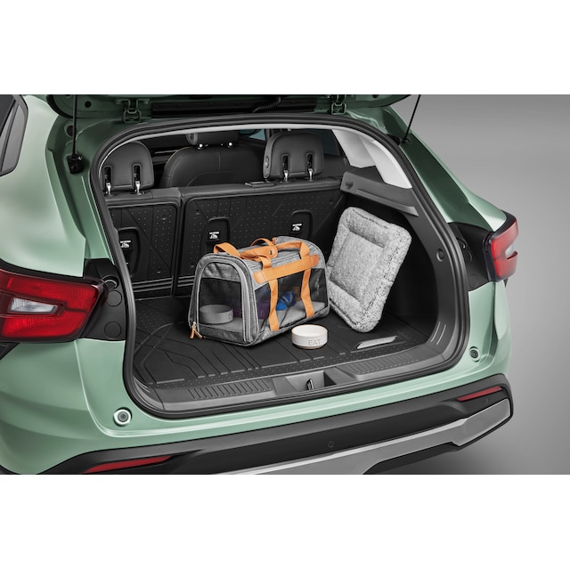 On-Vehicle Image
