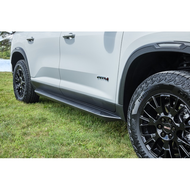 Molded Assist Steps in Black