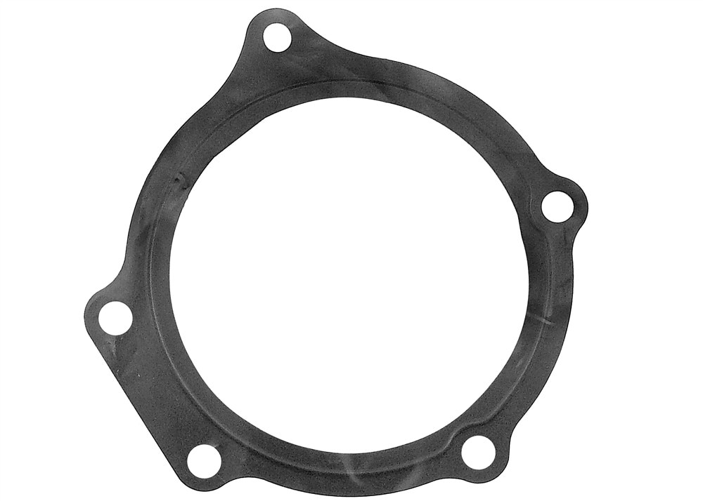 GM Genuine Parts Water Pump Gasket