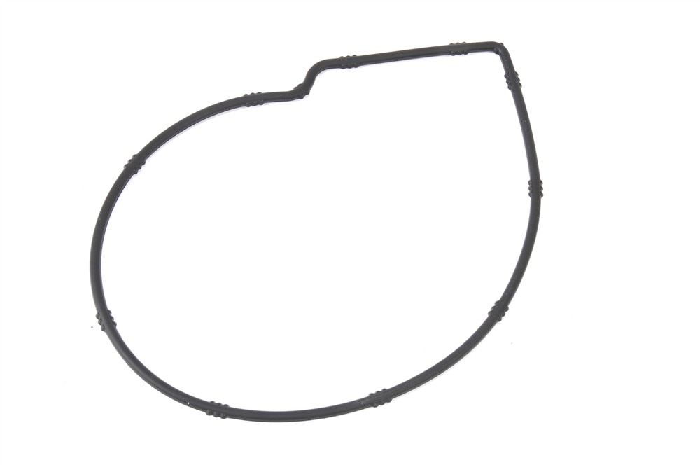 GM Genuine Parts Water Pump Gasket