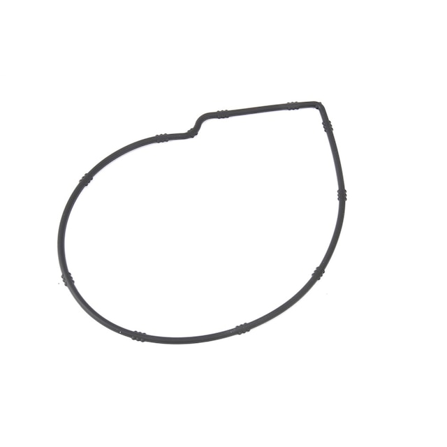 GM Genuine Parts Water Pump Gasket