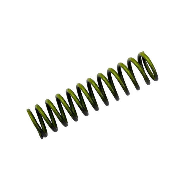 GM Genuine Parts Intermediate Automatic Transmission Clutch Accumulator Piston Spring