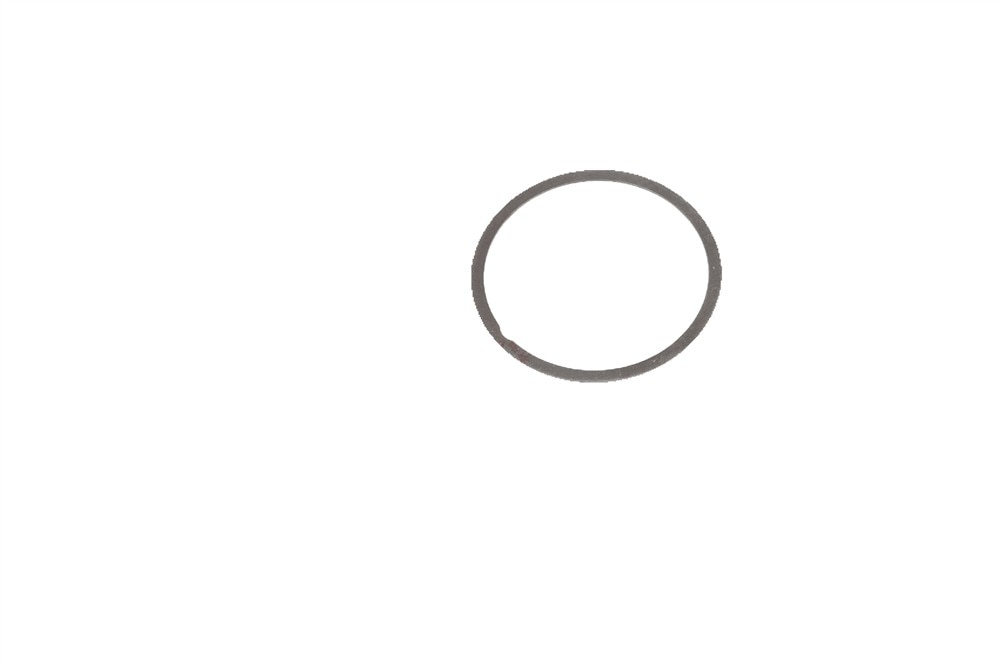 GM Genuine Parts Front Differential Bearing Shim