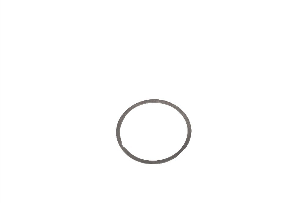 GM Genuine Parts Front Differential Bearing Shim