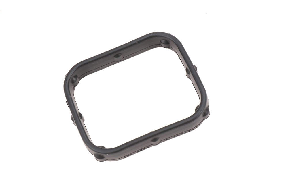 GM Genuine Parts Water Pump Gasket