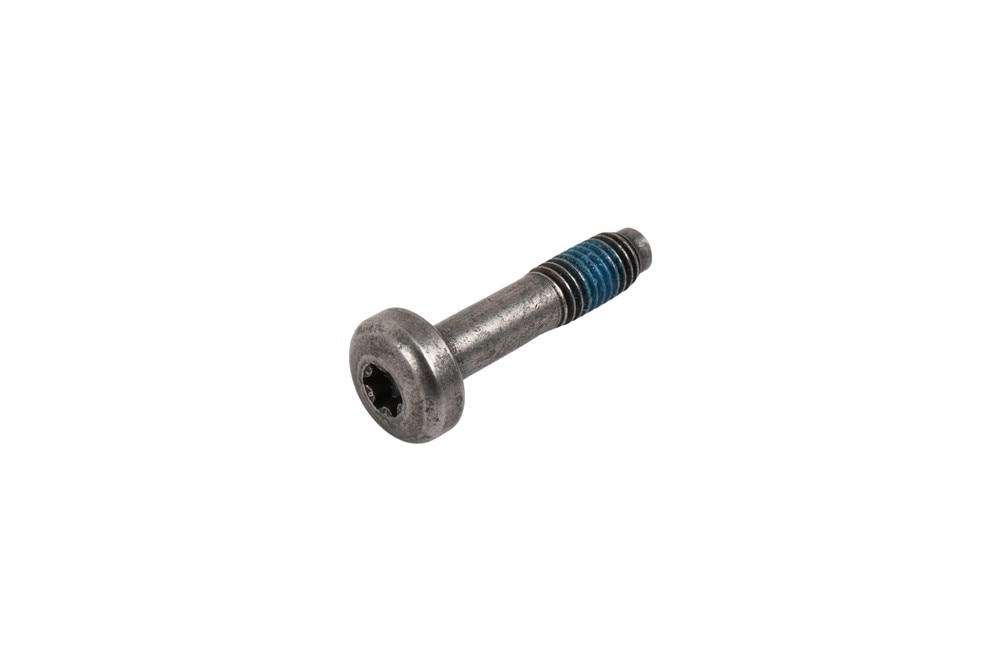 GM Genuine Parts Fuel Injector Bolt