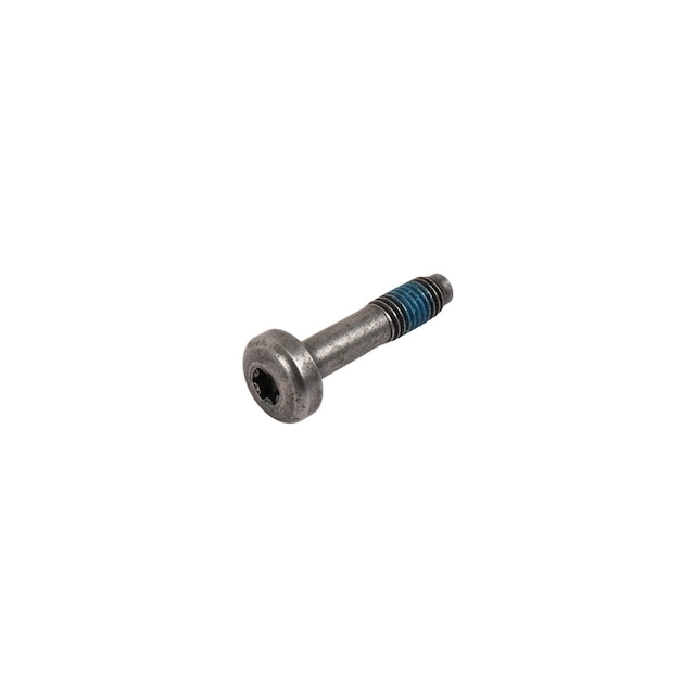 GM Genuine Parts Fuel Injector Bolt