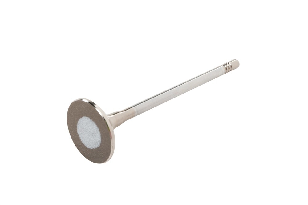 GM Genuine Parts Exhaust Valve