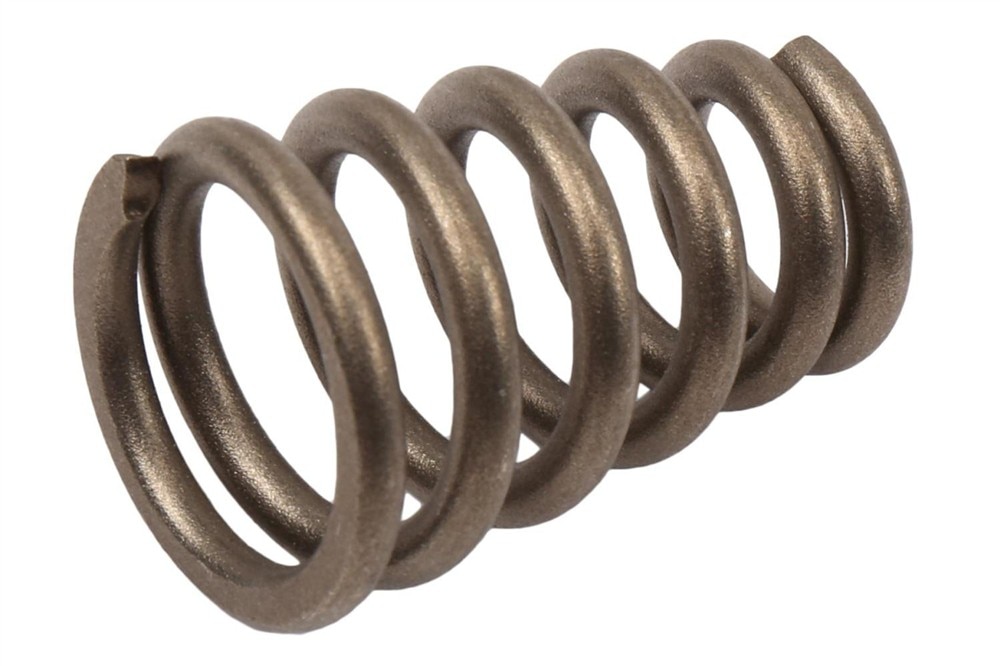 GM Genuine Parts Exhaust Spring